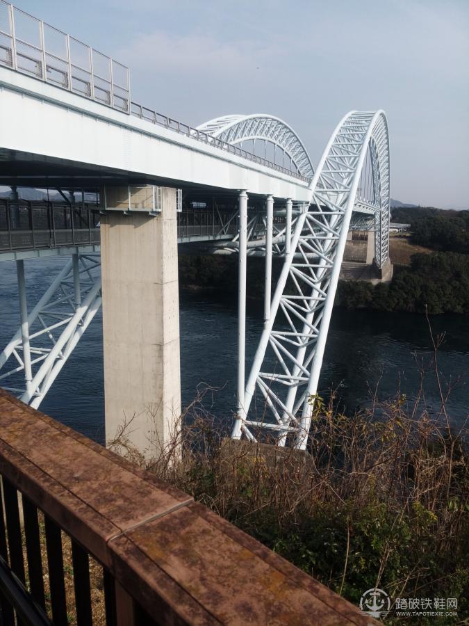 邮轮游记 1月 歌诗达 赛琳娜号 海景 多人/家庭 陪老人出行 日韩